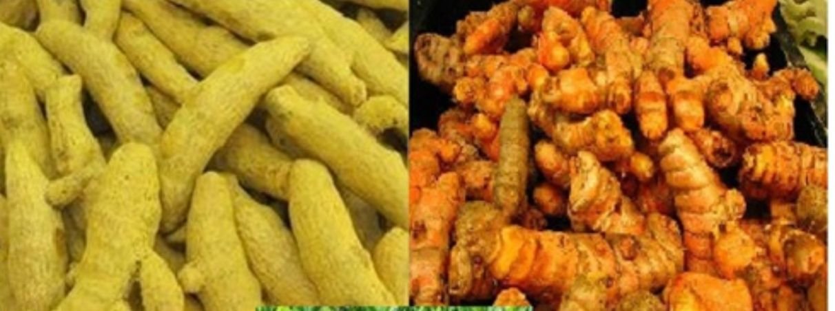 Haldi (Others) ₹340/kg