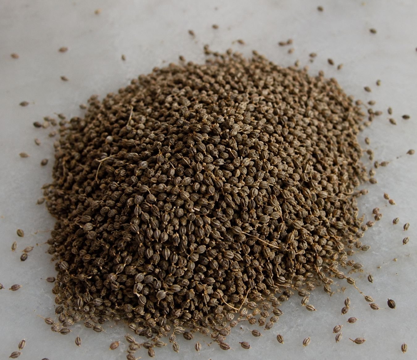 Bulk Ajwain (Carom seeds)