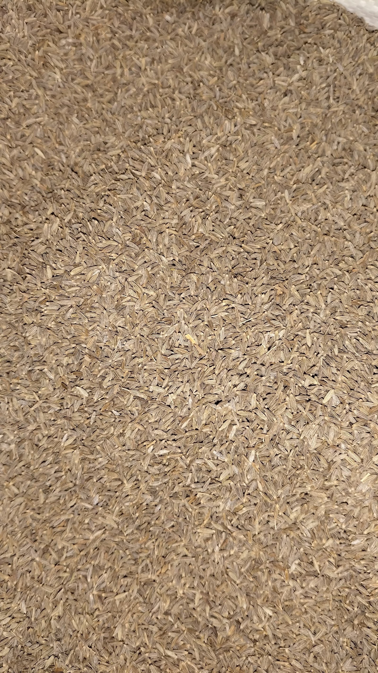 Premium Jeera 1kg